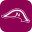 Napoleon Casino logo